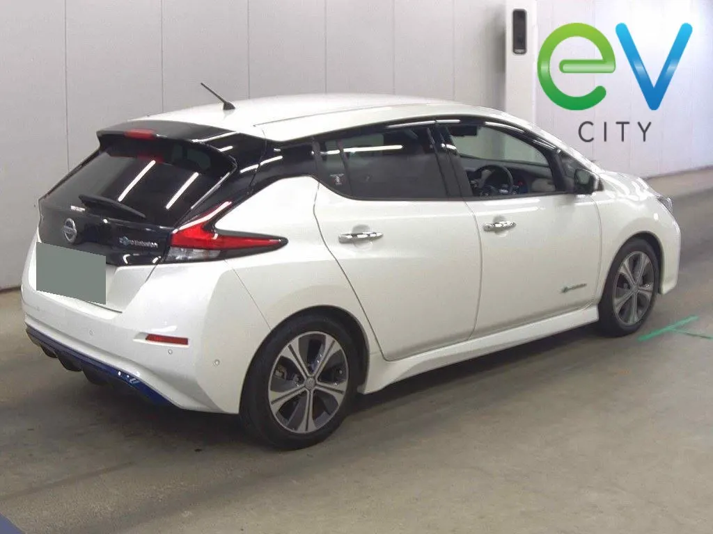 2018 Nissan Leaf G (40kWh) Pro Pilot, 360 Camera — photo 2