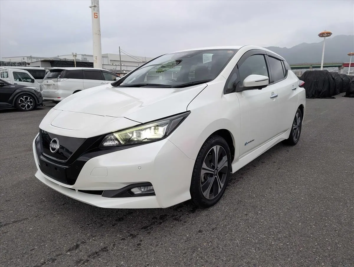 2022 Nissan Leaf X V Selection (40kWh), photo 3