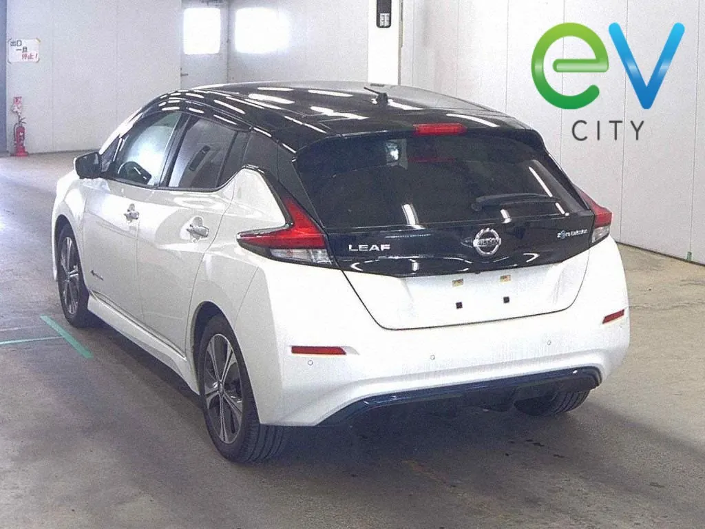 2019 Nissan Leaf X (40kWh) — photo 4