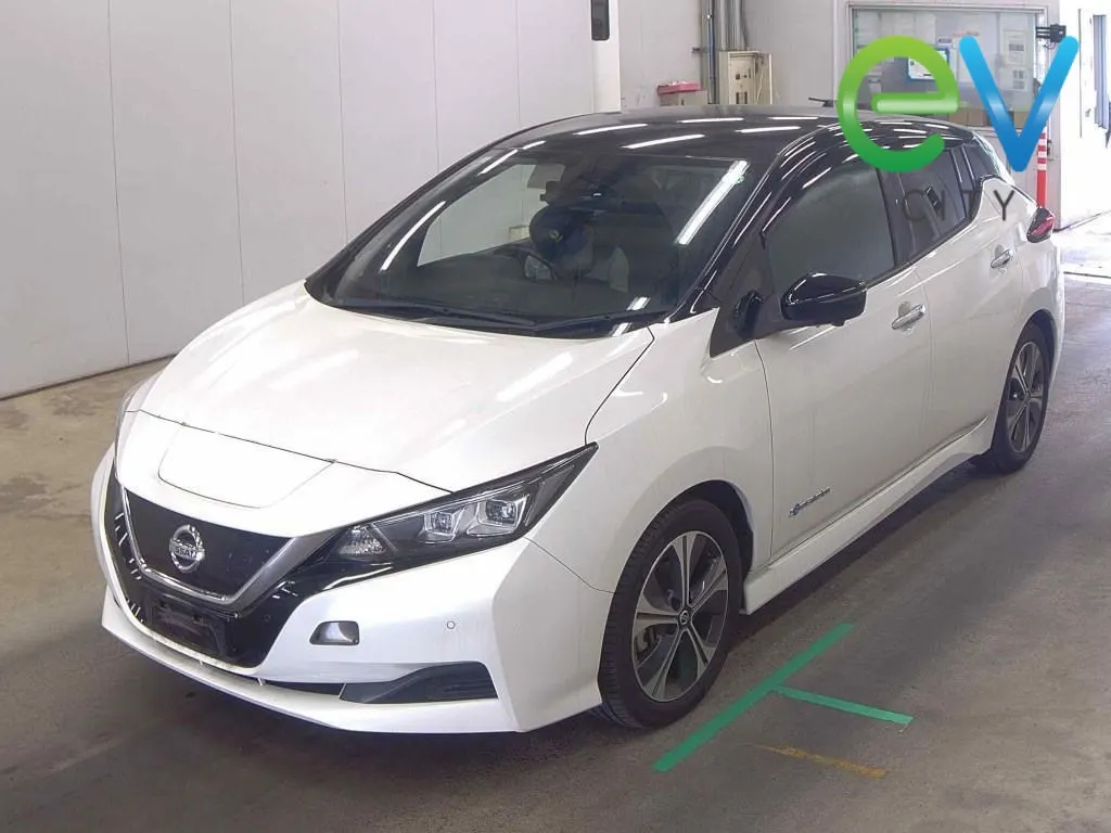2019 Nissan Leaf X (40kWh) — photo 5