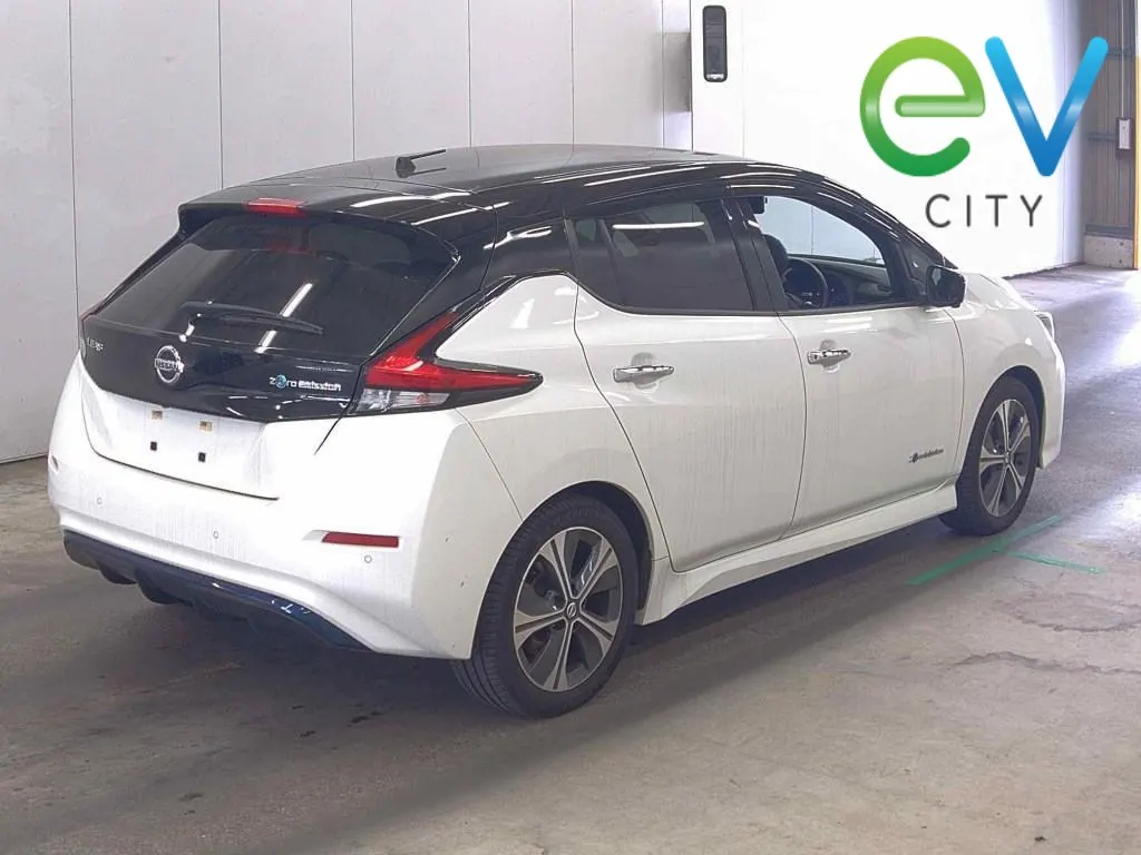 2019 Nissan Leaf X (40kWh) — photo 3