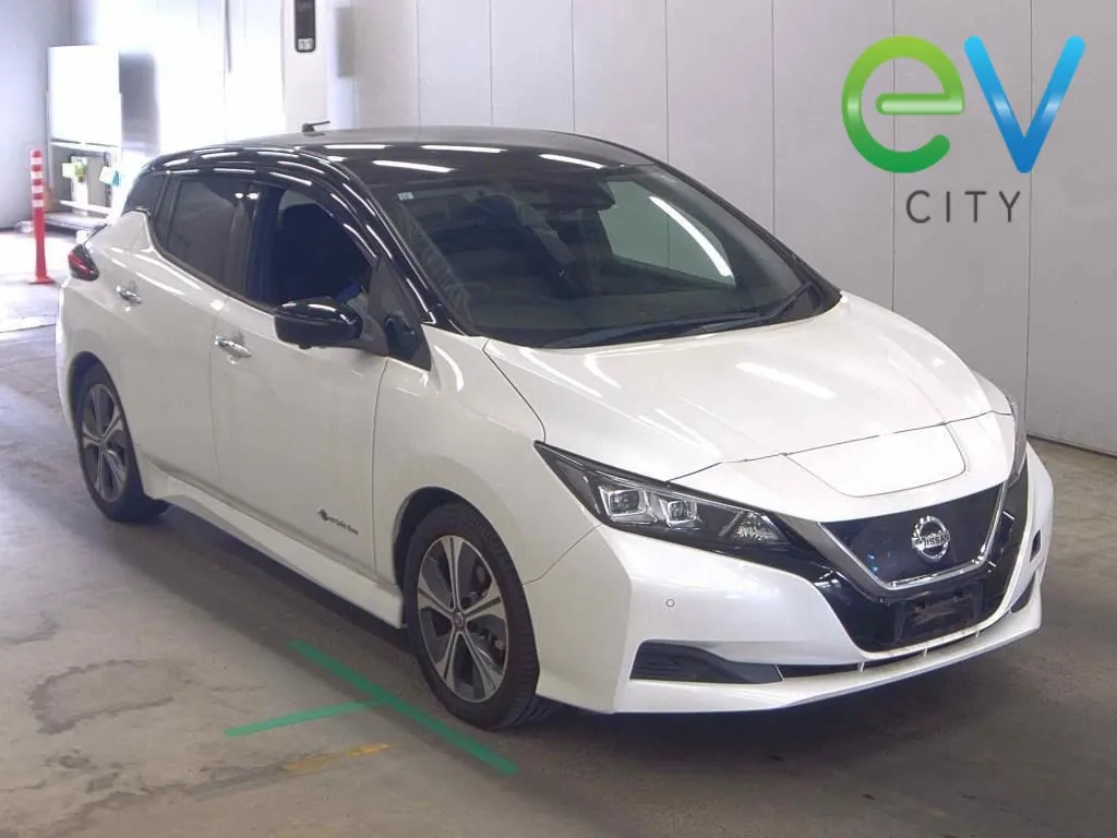 2019 Nissan Leaf X (40kWh) — photo 2