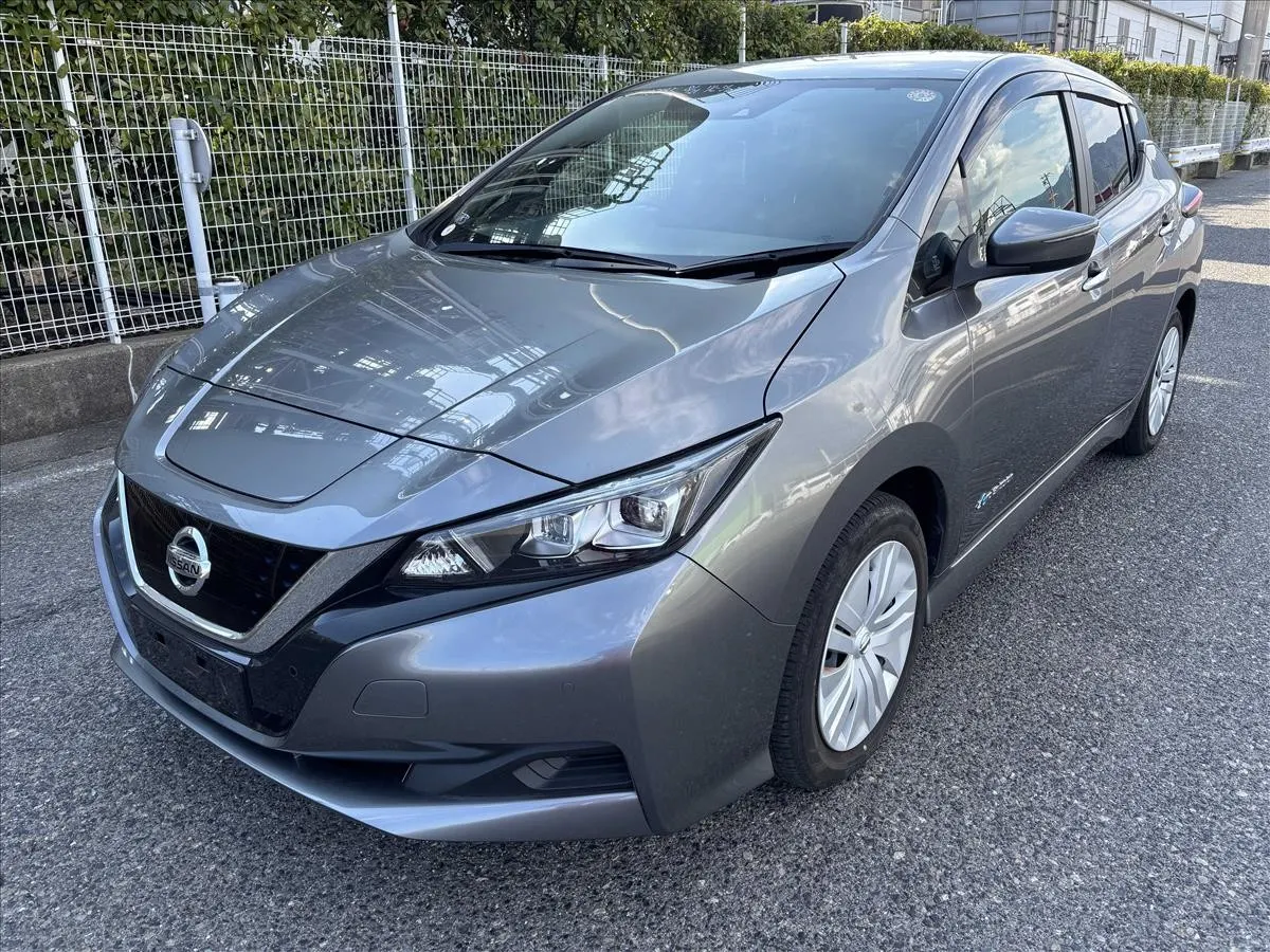 2021 Nissan Leaf S (40kWh) — photo 3