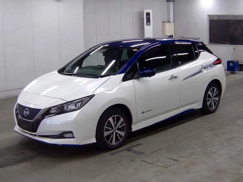 2021 Nissan Leaf e+ X (62kWh), photo 3