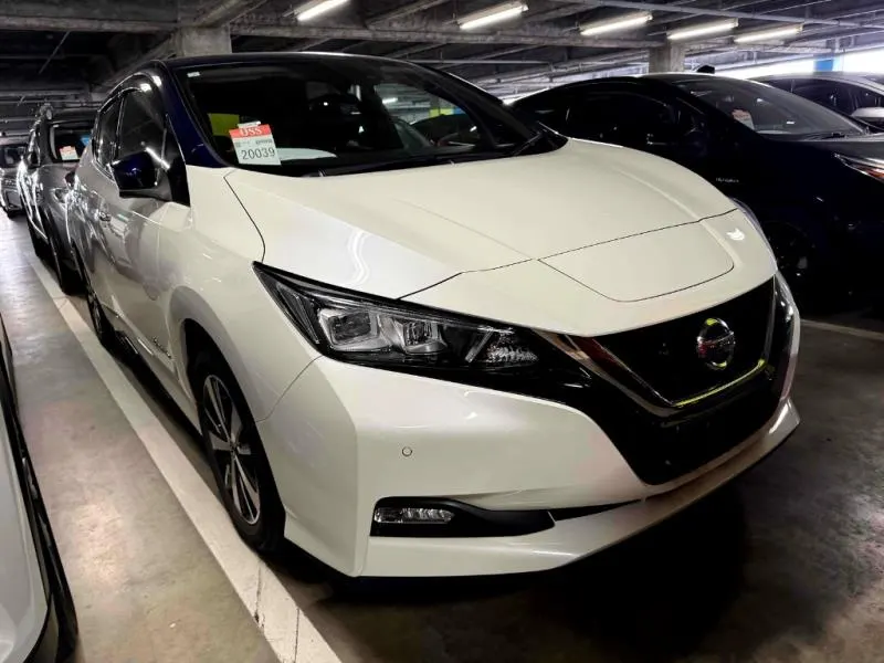 2021 Nissan Leaf e+ X (62kWh), photo 2