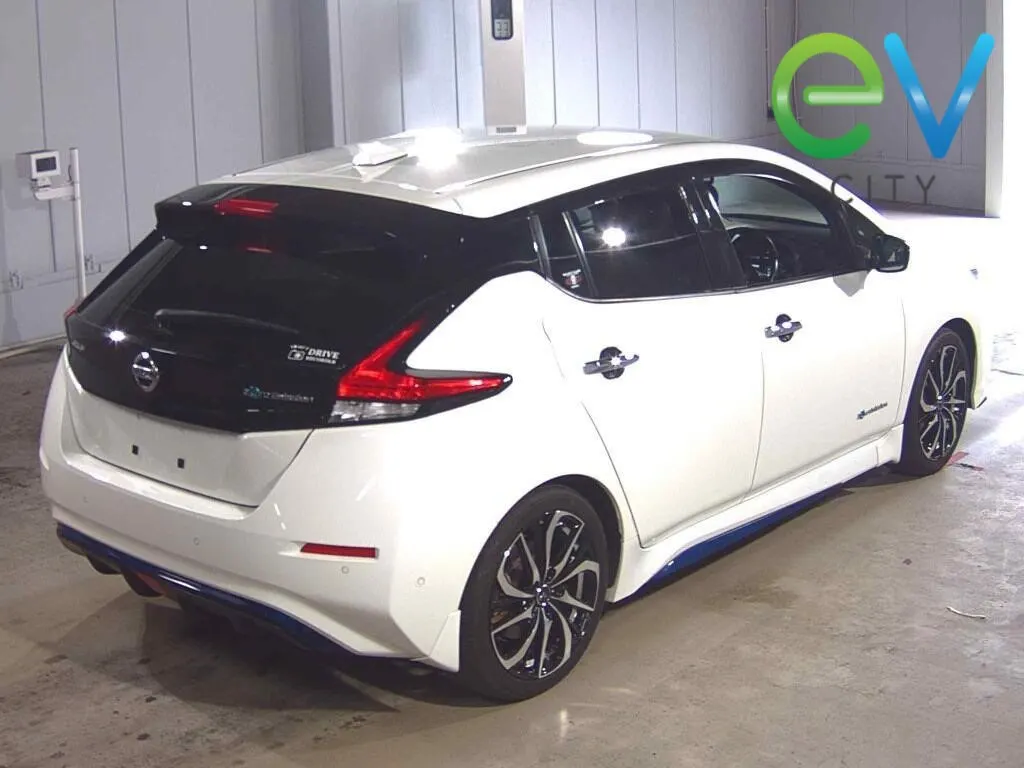 2018 Nissan LEAF G 40kWh Pro Pilot, 360 Camera — photo 2