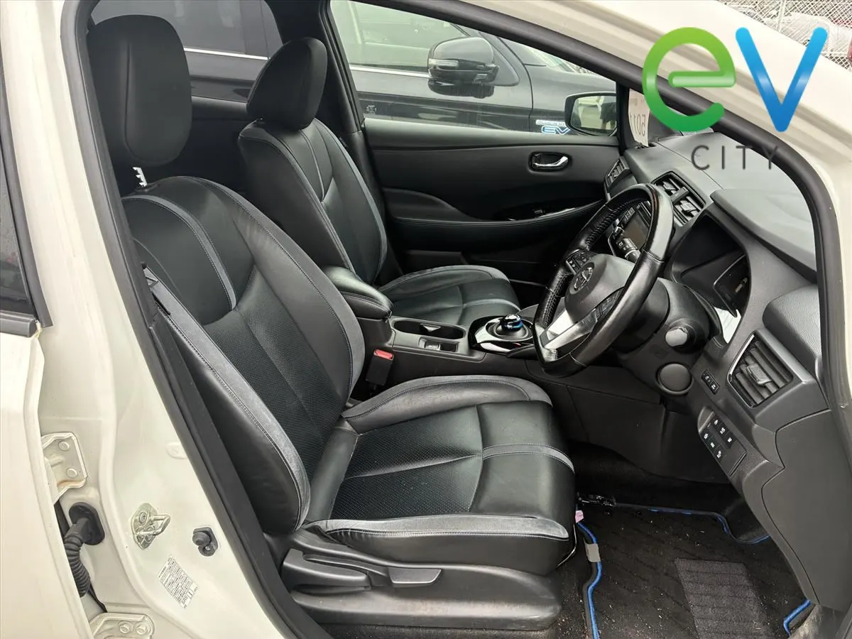 2019 Nissan Leaf G e+ (62kWh) Leather Seats and BOSE Audio — photo 5