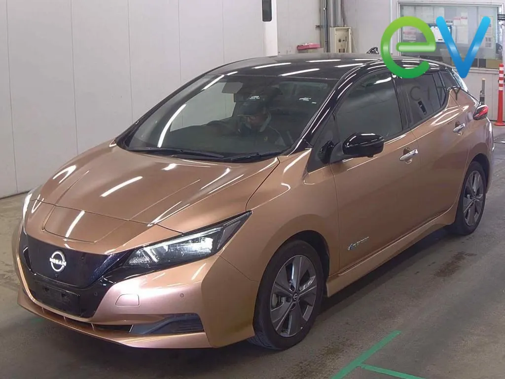 2023 Nissan Leaf X (40kWh) — photo 4
