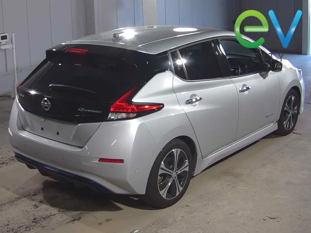 2019 Nissan Leaf G Pro Pilot (40kWh) — photo 2