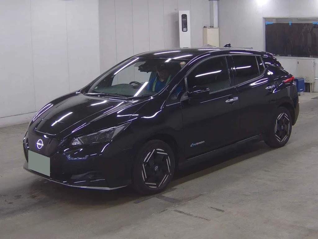 2022 Nissan Leaf e+ X (62kWh) — photo 3