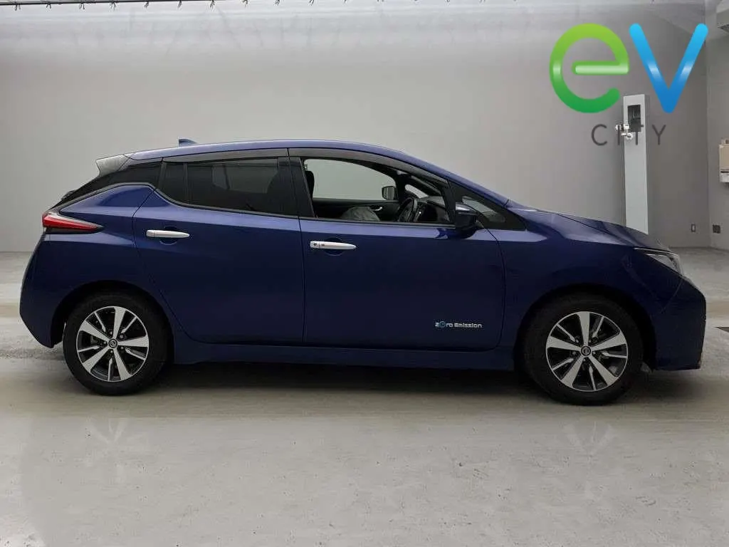 2020 Nissan Leaf e+ X (62kWh) With Pro Pilot & 360 Camera — photo 6