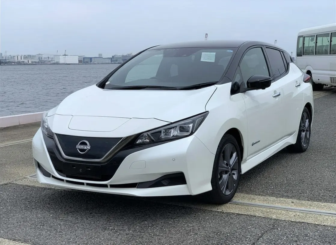 2022 Nissan Leaf Urban Chrome (40kWh) — photo 3