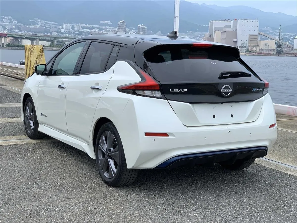 2022 Nissan Leaf Urban Chrome (40kWh) — photo 4