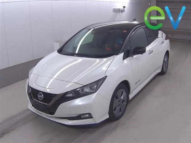 2022 Nissan Leaf e+ X (62kWh) — photo 4