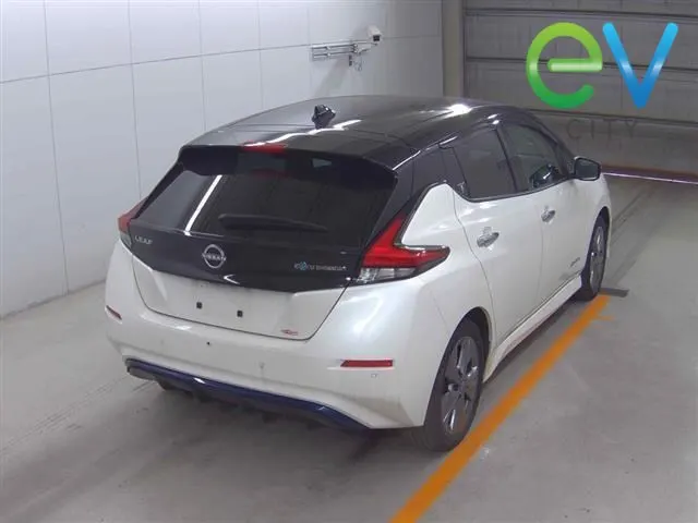 2022 Nissan Leaf e+ X (62kWh) — photo 2