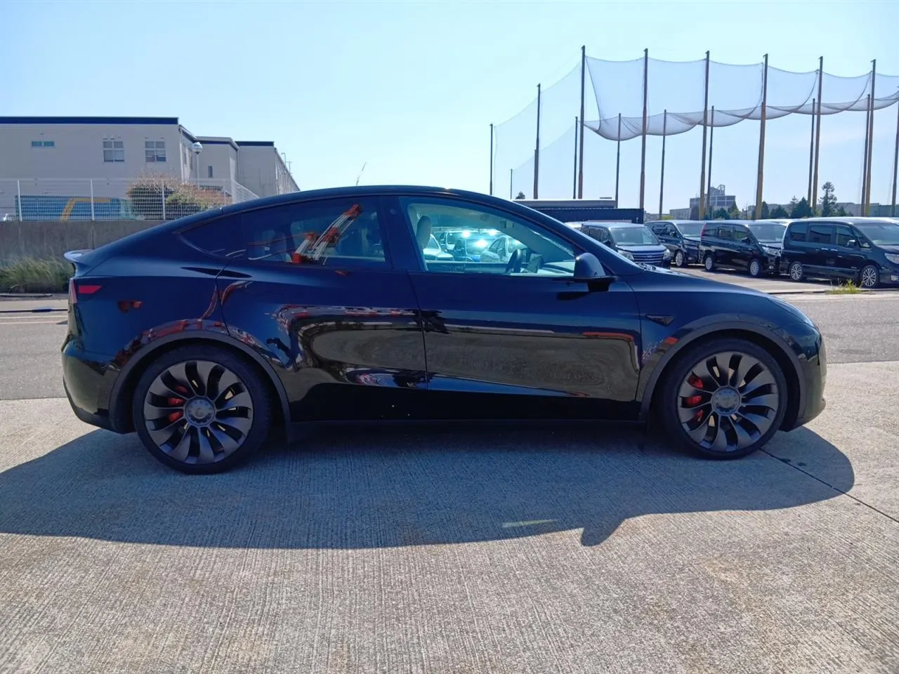 2023 Tesla Model Y AWD Performance — photo 8
