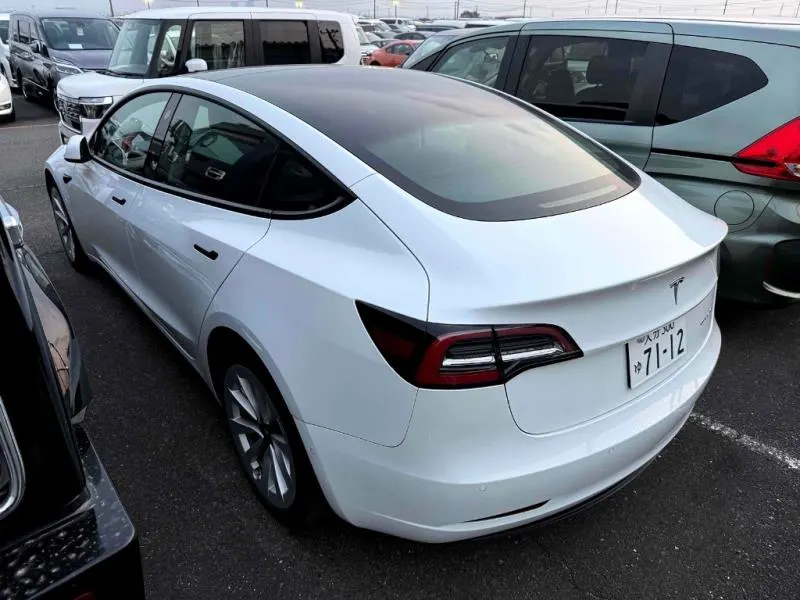 2021 Tesla Model 3 Long Range AWD (82kWh) — photo 12