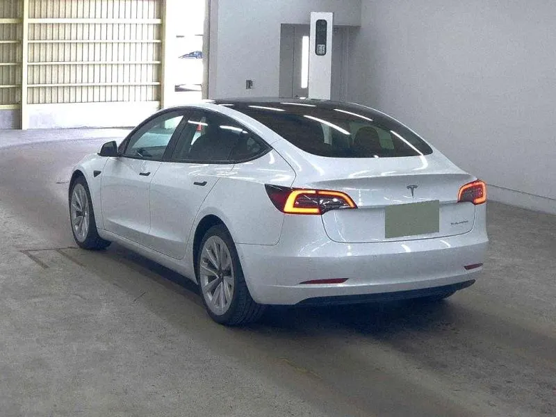 2021 Tesla Model 3 Long Range AWD (82kWh) — photo 11
