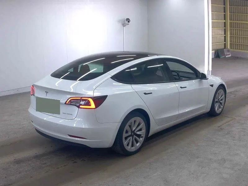 2021 Tesla Model 3 Long Range AWD (82kWh) — photo 10