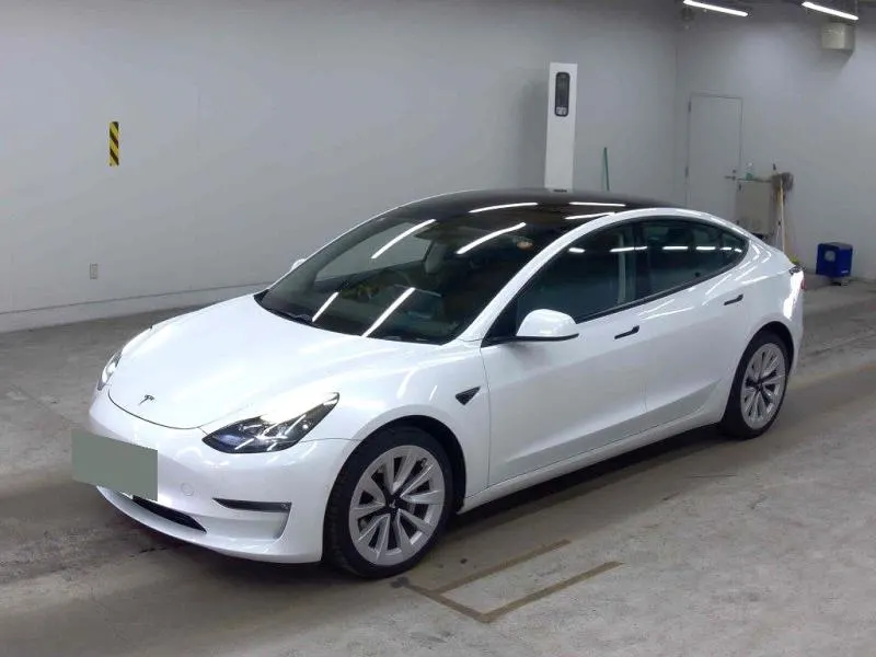 2021 Tesla Model 3 Long Range AWD (82kWh) — photo 3