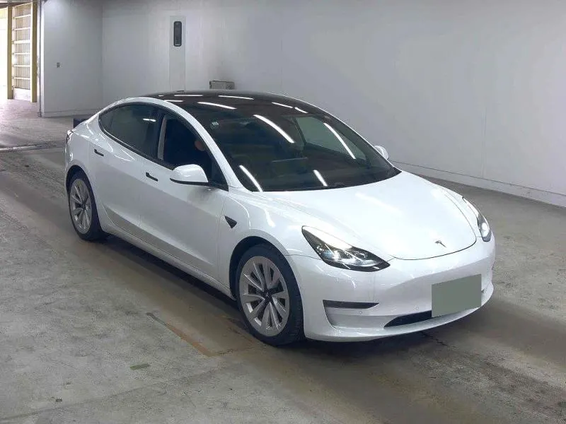 2021 Tesla Model 3 Long Range AWD (82kWh) — photo 2