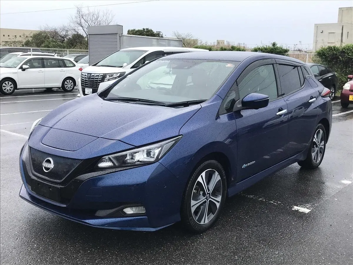2021 Nissan Leaf e+ G (62kWh) — photo 3