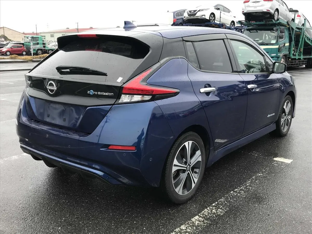 2021 Nissan Leaf e+ G (62kWh) — photo 2