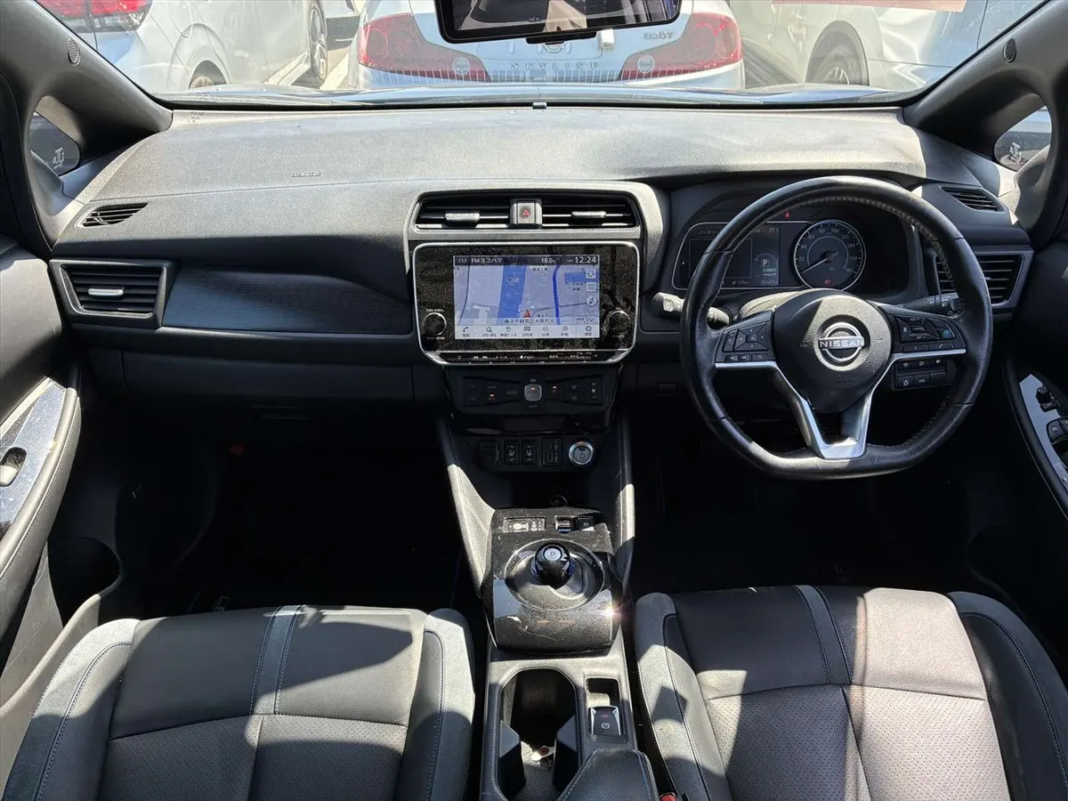 2021 Nissan Leaf e+ G (62kWh) — photo 9