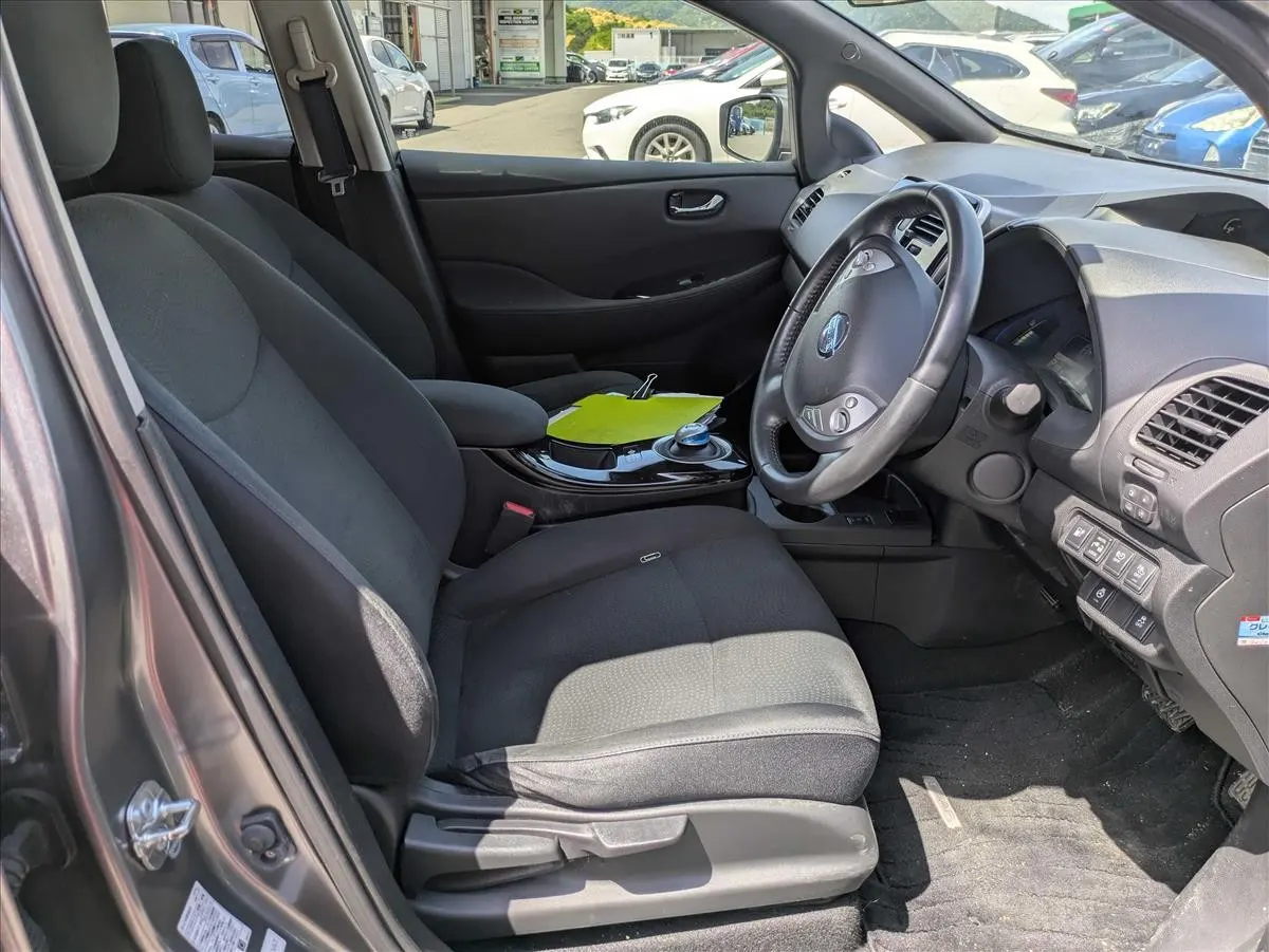 2017 Nissan Leaf 30X Thanks Edition (30kWh) — photo 6