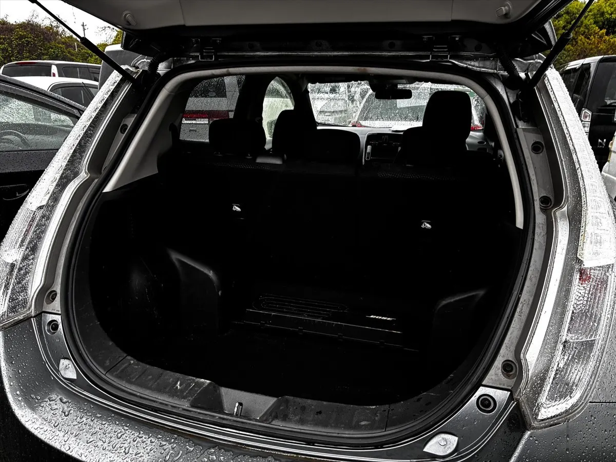 2017 Nissan Leaf 30X Thanks Edition (30kWh) — photo 13