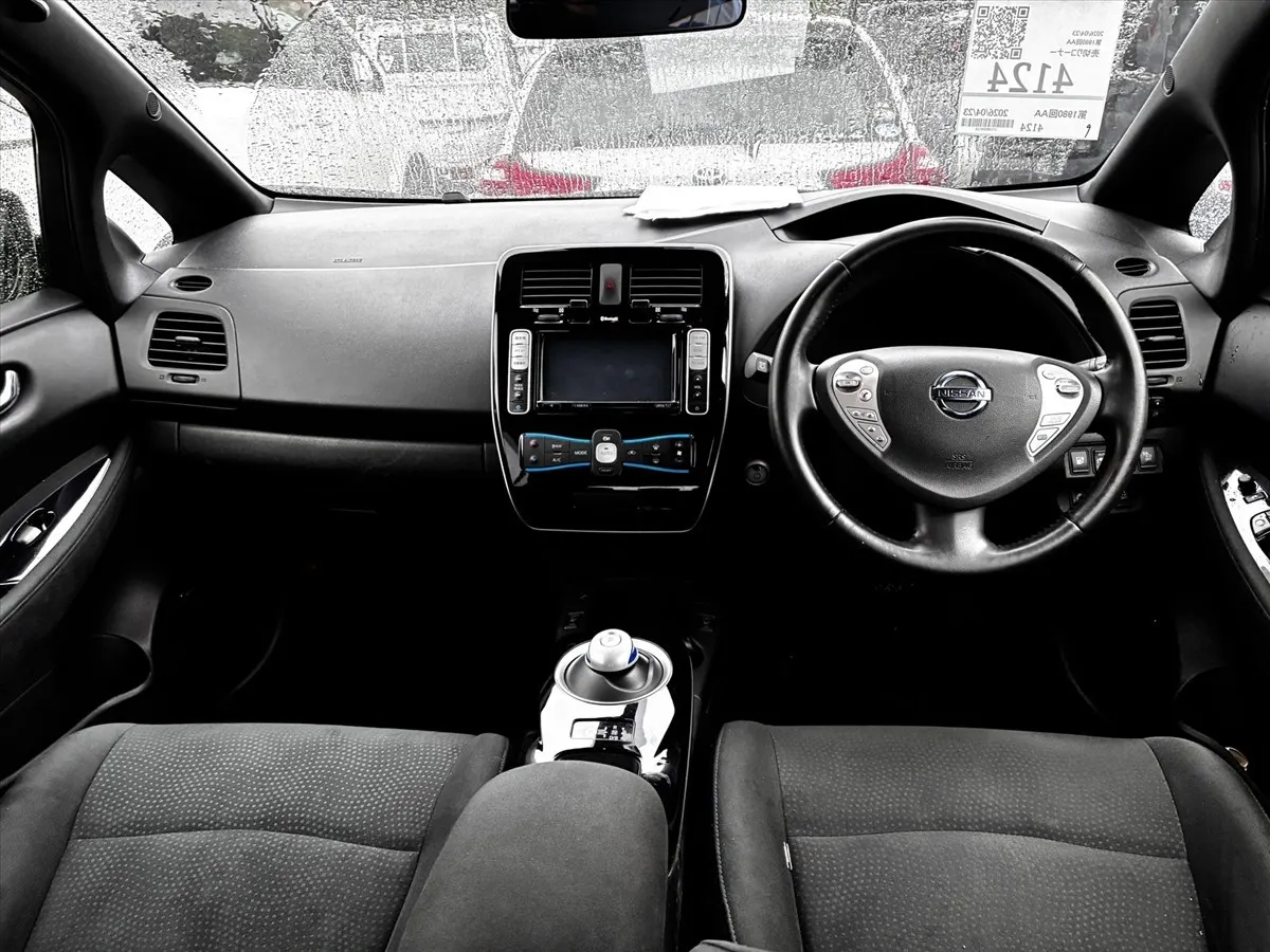 2017 Nissan Leaf 30X Thanks Edition (30kWh) — photo 11