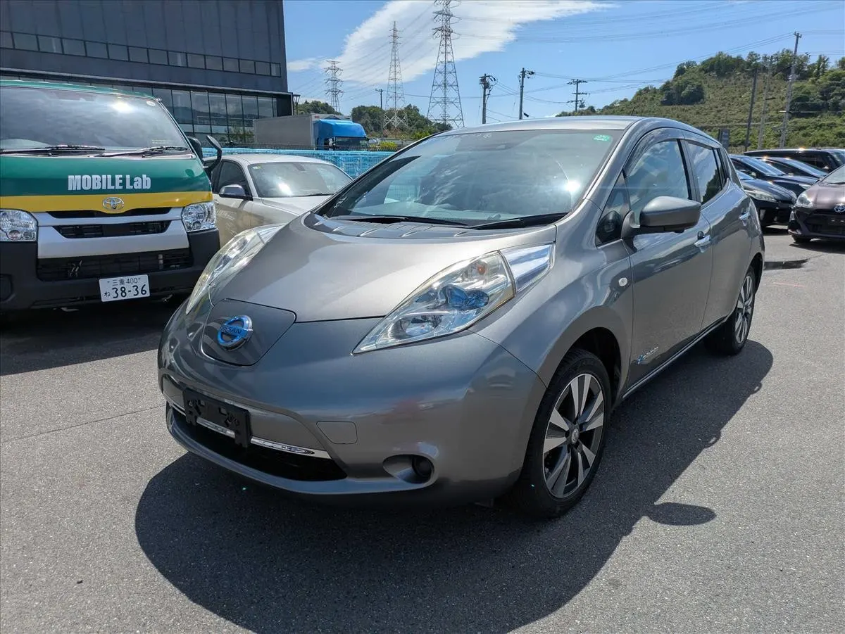 2017 Nissan Leaf 30X Thanks Edition (30kWh) — photo 3