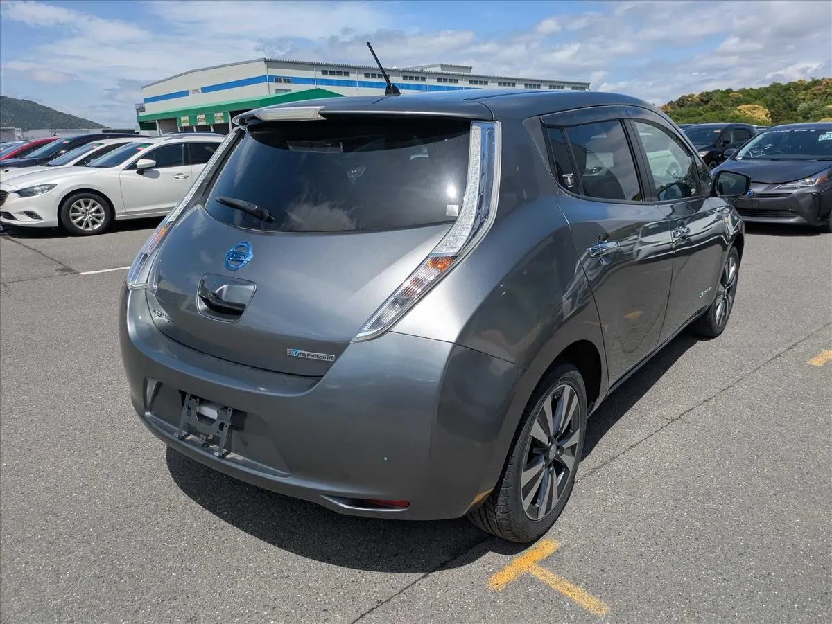 2017 Nissan Leaf 30X Thanks Edition (30kWh) — photo 2