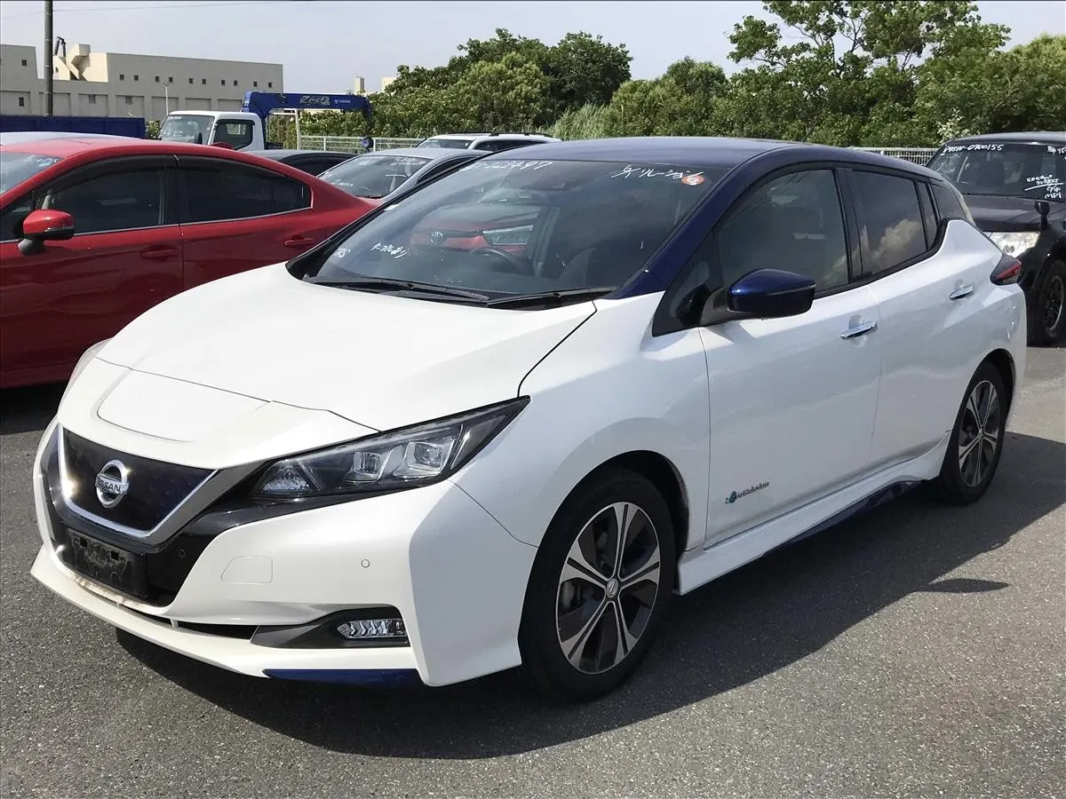 2018 Nissan Leaf X (40kWh) — photo 3