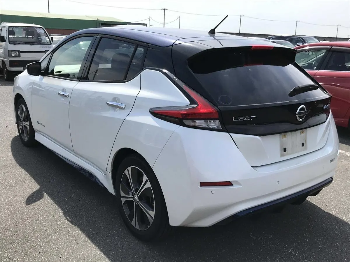 2018 Nissan Leaf X (40kWh) — photo 4