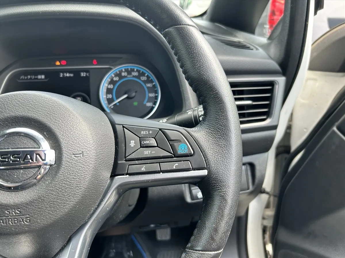 2018 Nissan Leaf X (40kWh) — photo 8
