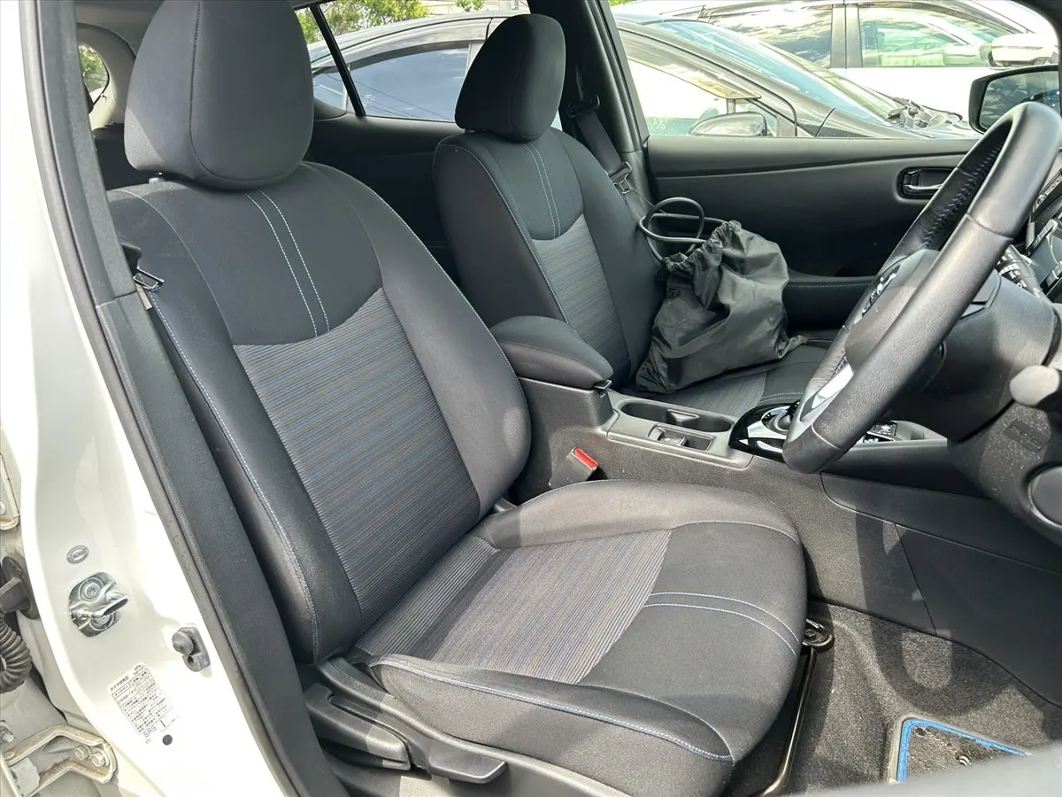 2018 Nissan Leaf X (40kWh) — photo 6