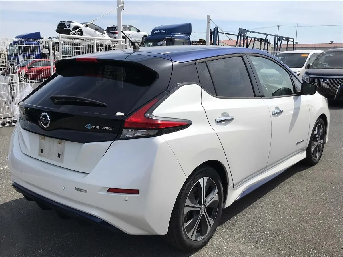 2018 Nissan Leaf X (40kWh) — photo 2
