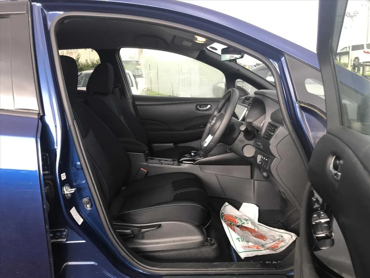 2021 Nissan Leaf X V Selection (40kWh) — photo 6