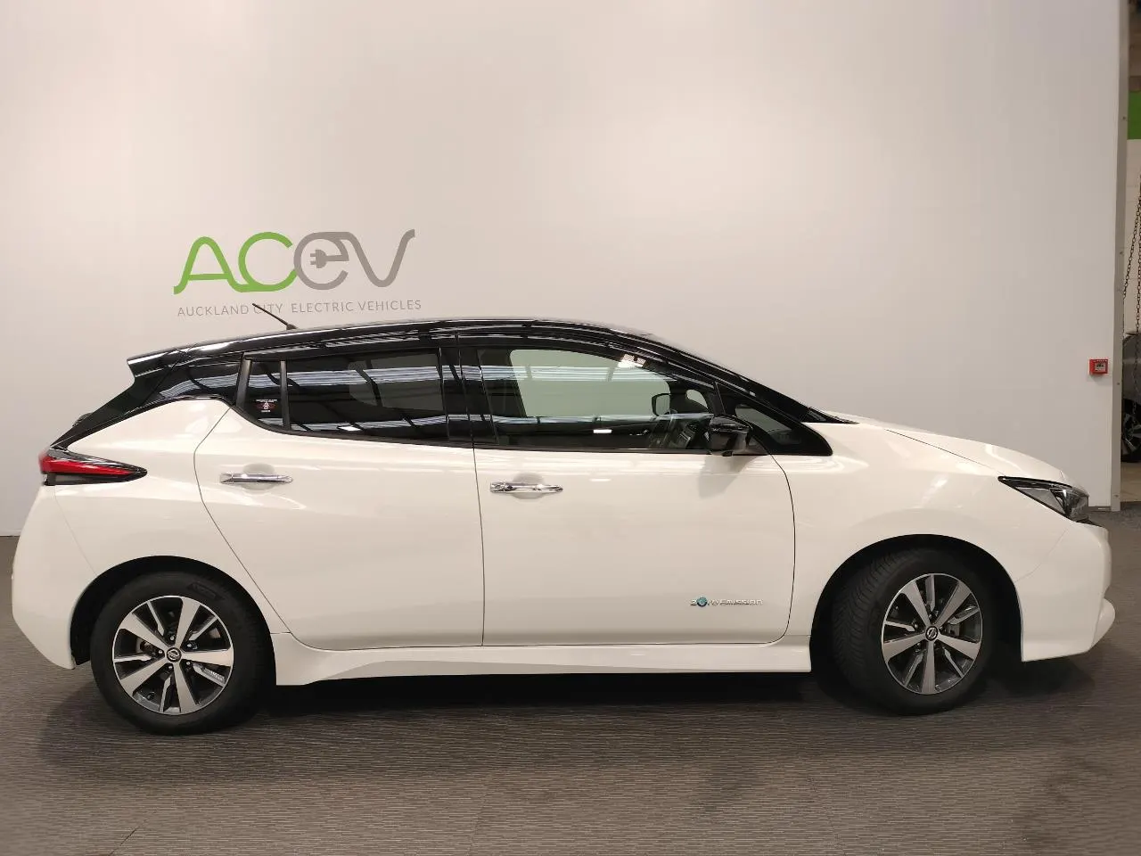 2019 Nissan Leaf X (40kWh) — photo 2