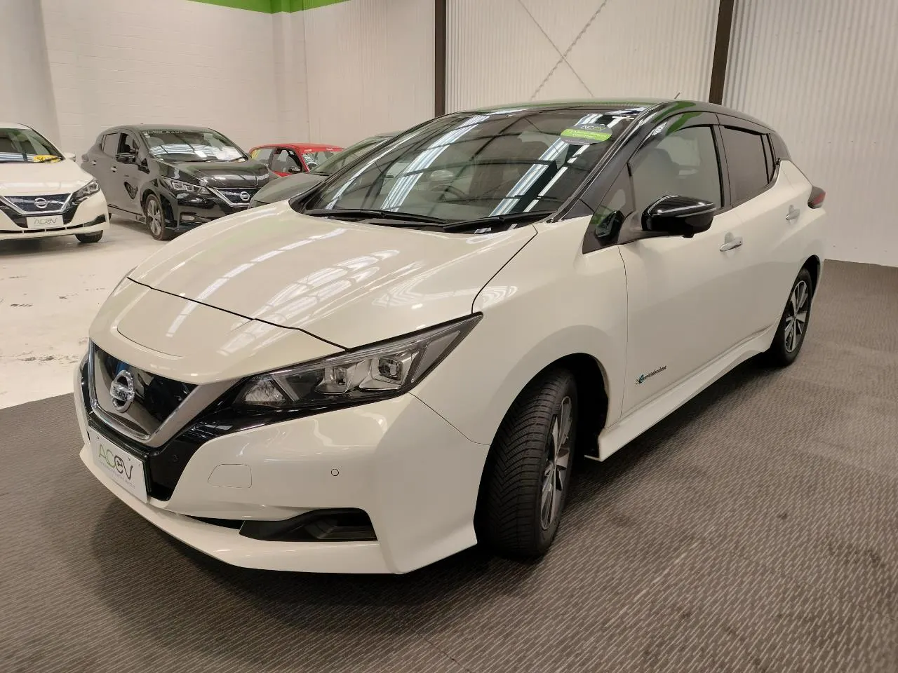 2019 Nissan Leaf X (40kWh) — photo 7