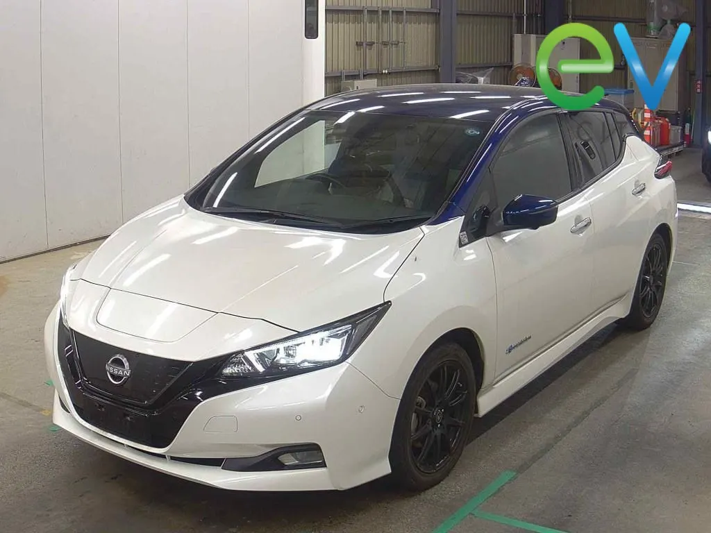 2022 Nissan LEAF G 40kWh Pro Pilot, 360 Camera — photo 5
