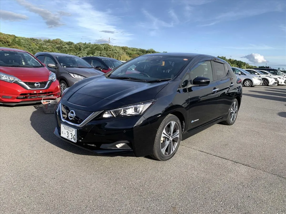 2018 Nissan Leaf X (40kWh) — photo 3