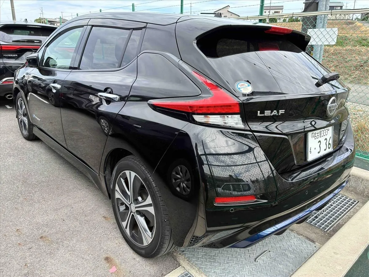 2018 Nissan Leaf X (40kWh) — photo 4