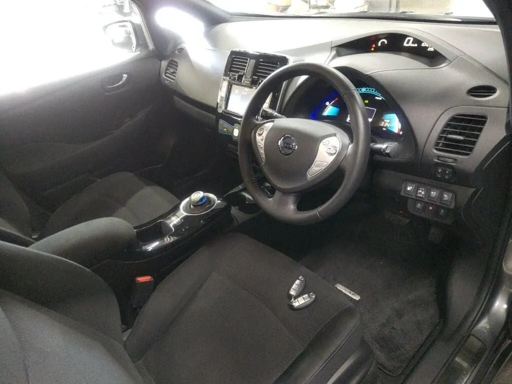 2017 Nissan Leaf 30X Aero Thanks Edition — photo 6