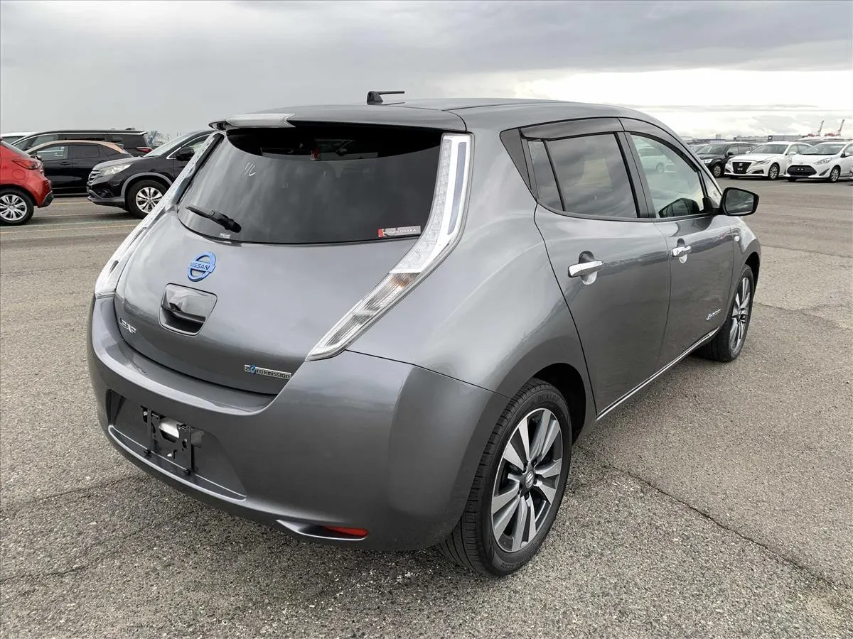 2017 Nissan Leaf 30X Aero Thanks Edition — photo 2