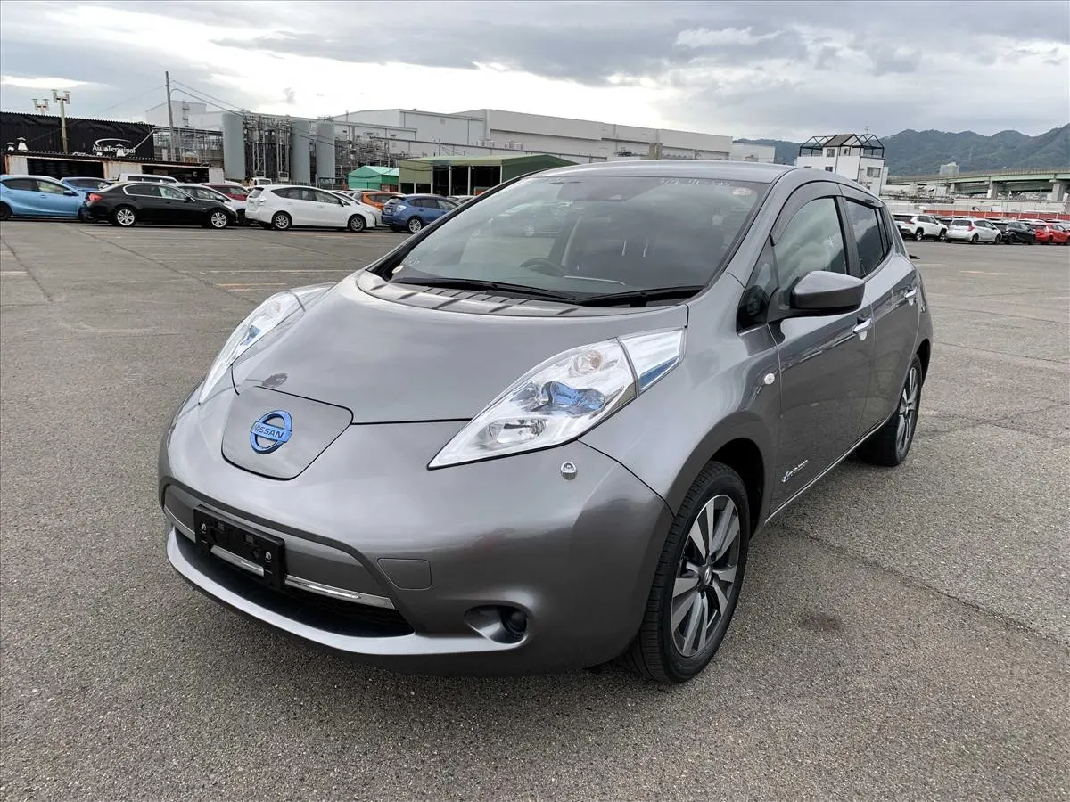 2017 Nissan Leaf 30X Aero Thanks Edition — photo 3