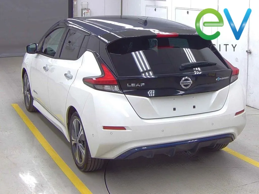 2020 Nissan LEAF G 40kWh Pro Pilot, 360 Camera — photo 2