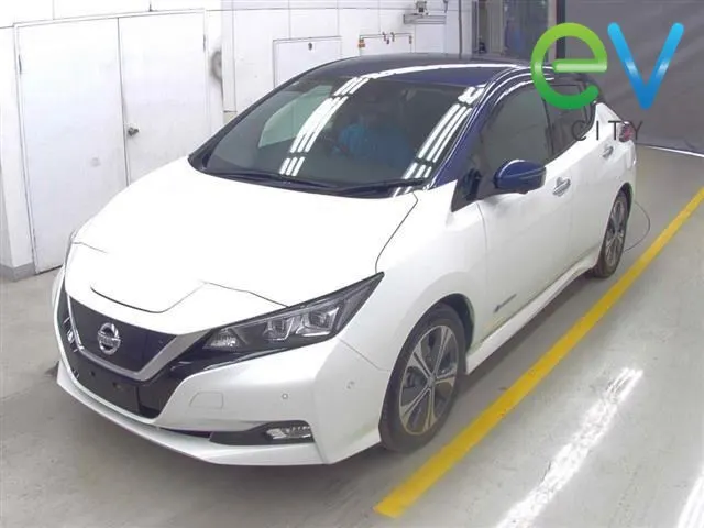 2020 Nissan LEAF G 40kWh Pro Pilot, 360 Camera — photo 4