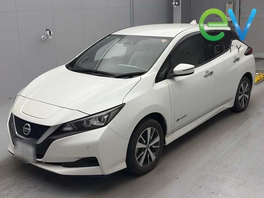 2020 Nissan Leaf e+ X (62kWh) — photo 5